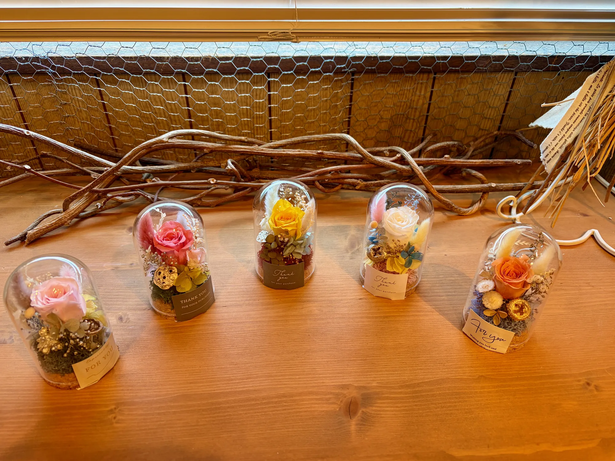複数のmicrobouquet glass domeを並べた作品